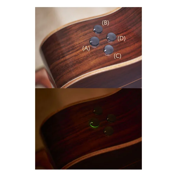 AC3M ARE TBS - tobacco brown sunburst