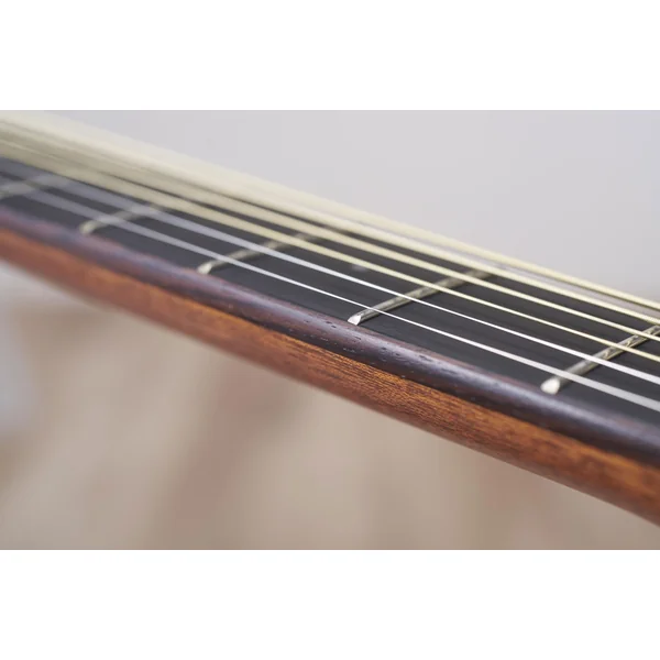 AC3R ARE TBS - tobacco brown sunburst