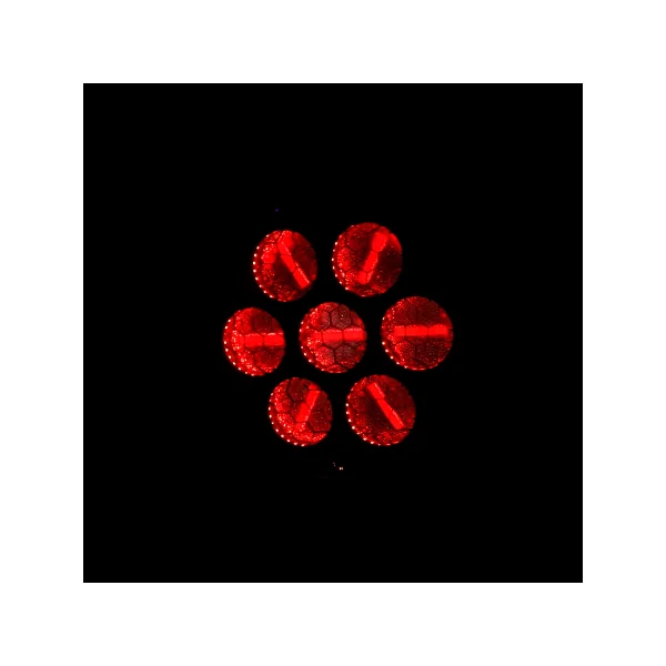 ARDECO 7GLD J.COLLYNS – Projecteur retro 7 x 60W Blanc chaud et couleur