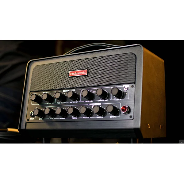 Bias Head Processor