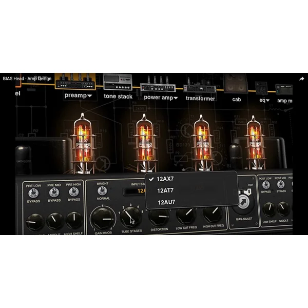 Bias Head Processor