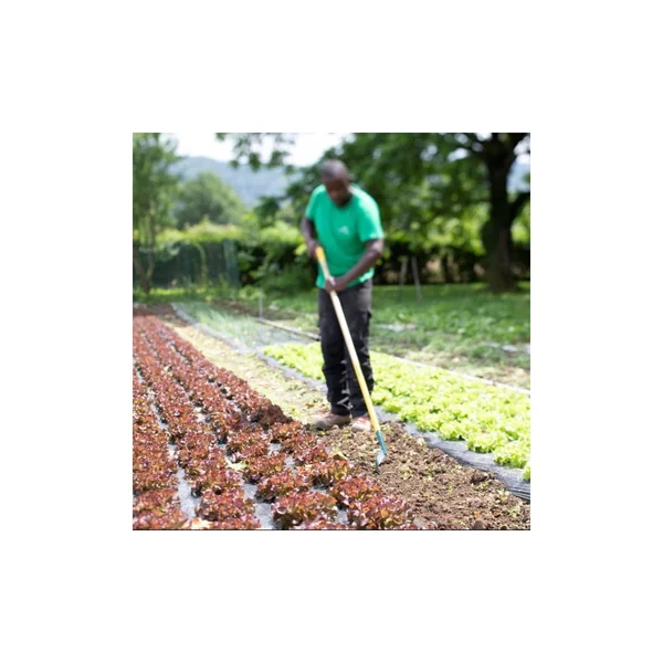 Binette lame V Naturovert manche bois 150cm + poignée ergonomique - Leborgne