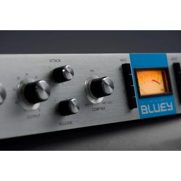 BLUEY