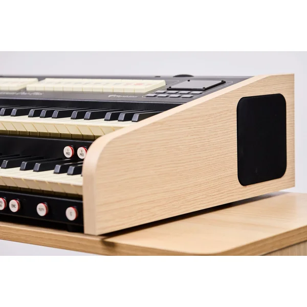 Cantorum Duo Plus