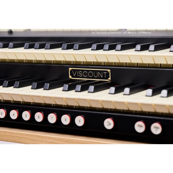 Cantorum Duo Plus