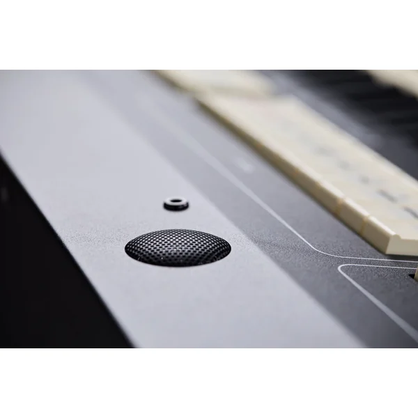 Cantorum Duo Plus