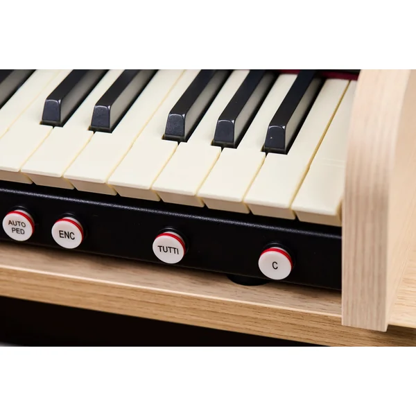 Cantorum Duo Plus