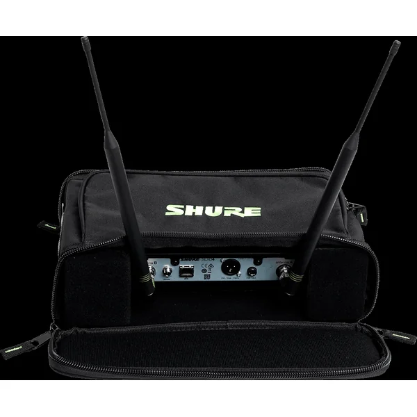 Carrying bag for wireless system