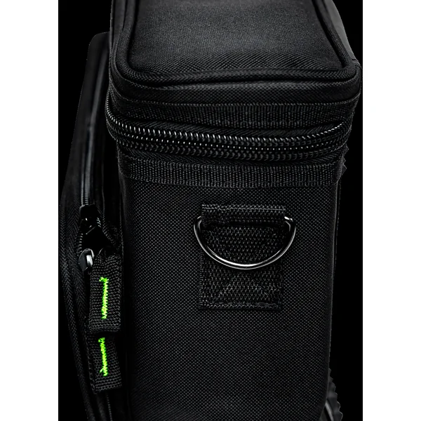 Carrying bag for wireless system