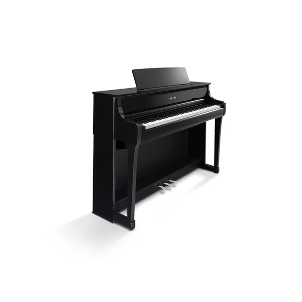 CLP-875 - polished ebony