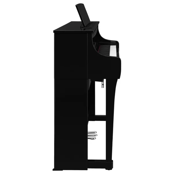 CLP-875 - polished ebony