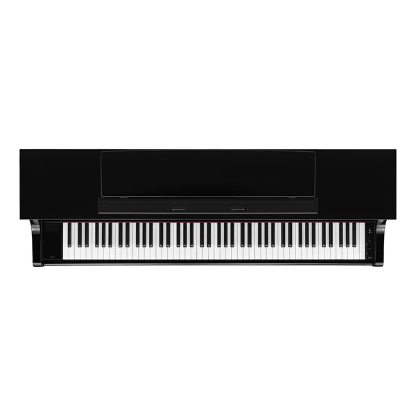 CLP-875 - polished ebony