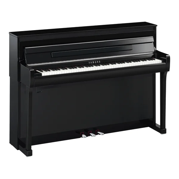 CLP-885 - polished ebony