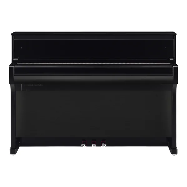 CLP-885 - polished ebony