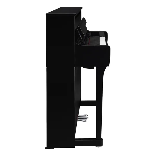 CLP-885 - polished ebony