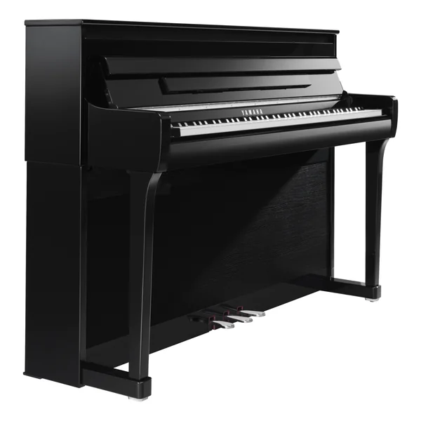 CLP-885 - polished ebony