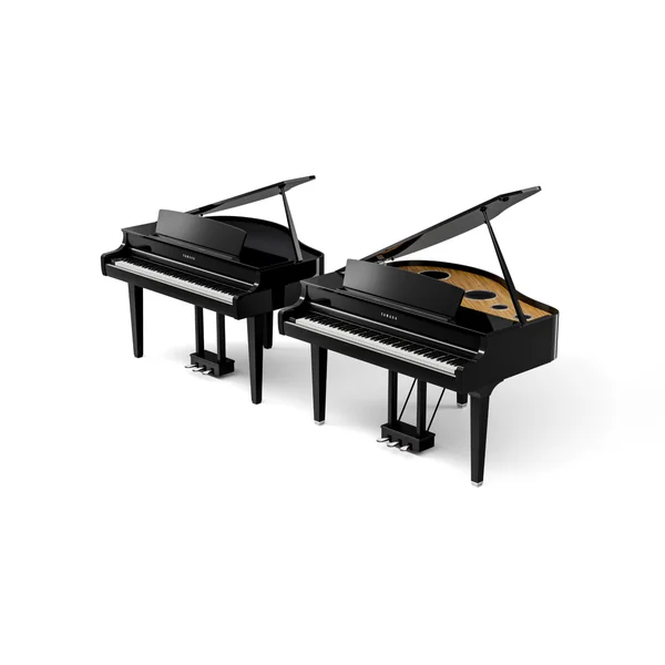 CLP-895GP - polished ebony