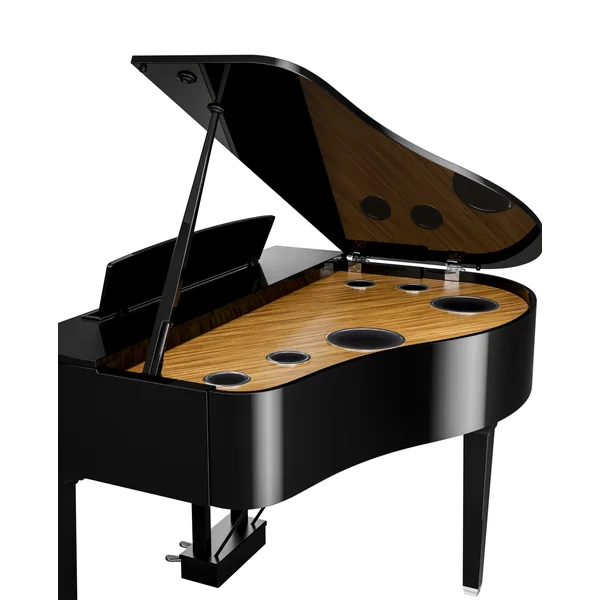 CLP-895GP - polished ebony