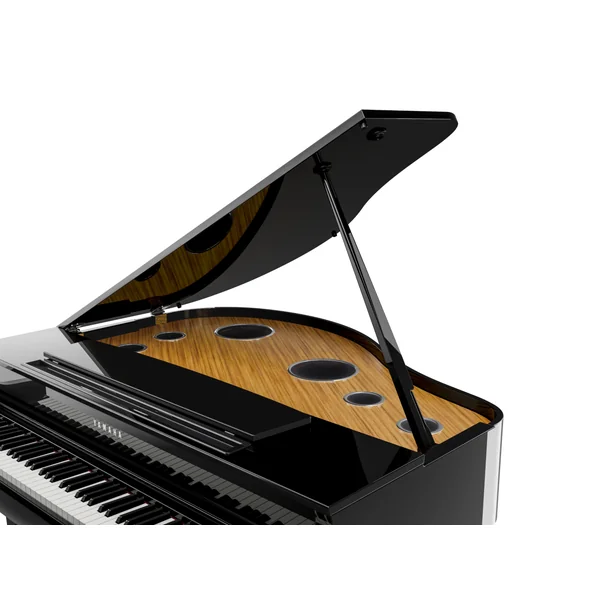 CLP-895GP - polished ebony