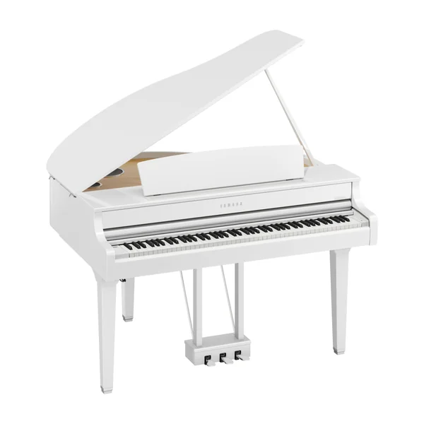 CLP-895GP - polished white