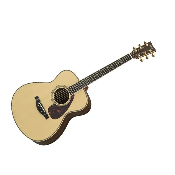Custom Shop LS56 AREII - natural