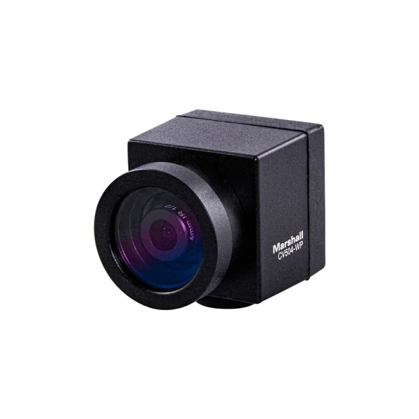 CV504-WP