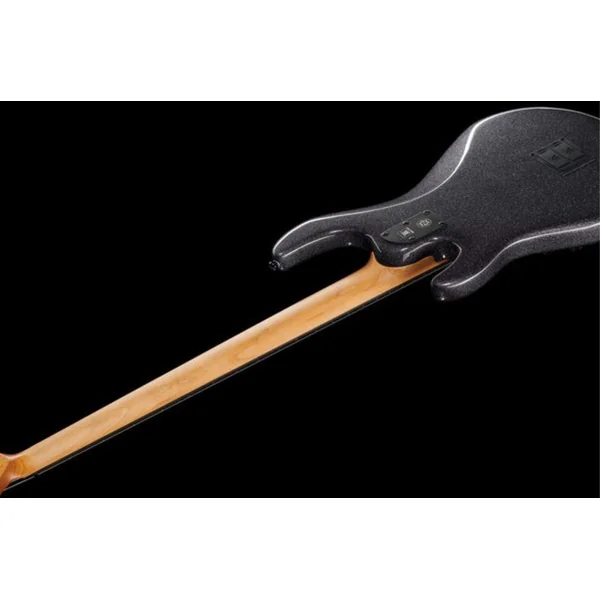DarkRay 5-String +Gig Bag - starry night