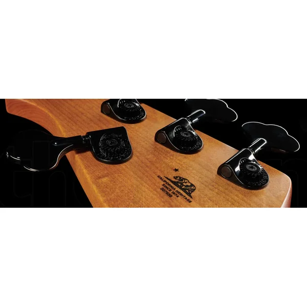 DarkRay 5-String +Gig Bag - starry night