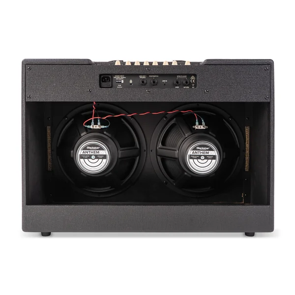DEBUT 100R BLACK 100W 2X12