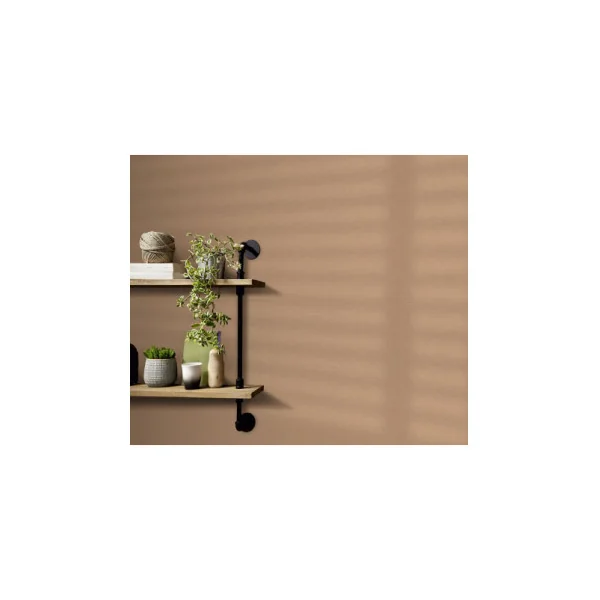 DELZONGLE Papier Peint Collection SOPHIA 1015