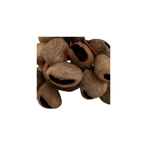 Djudju Pearl Shaker Manche - Noix De Pangium