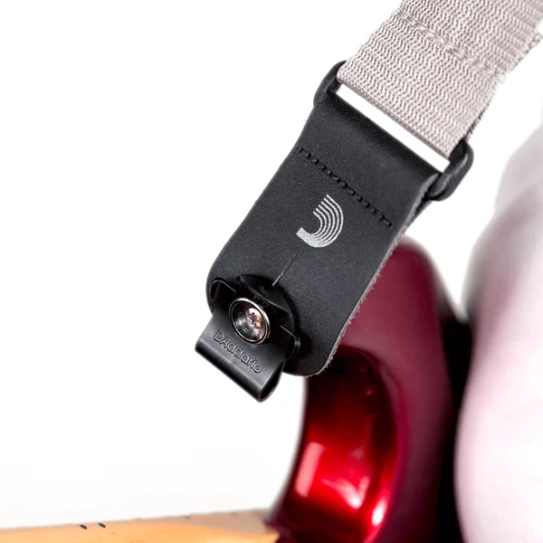 DLC-01 Dual-Lock Strap Lock