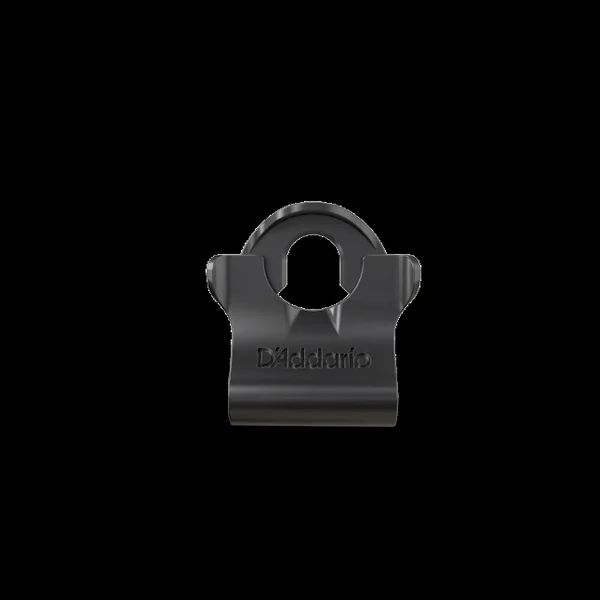 DLC-01 Dual-Lock Strap Lock