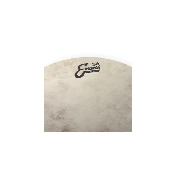 EVANS Calftone 12"