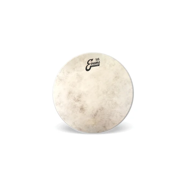 EVANS Calftone 16"