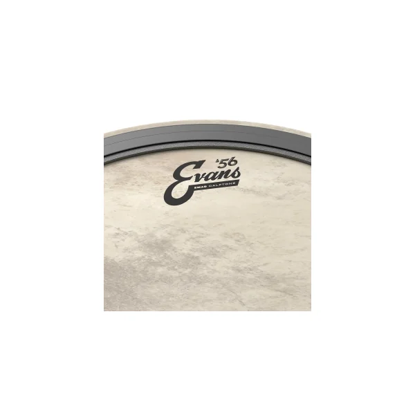 EVANS Calftone 18" Bass EMAD