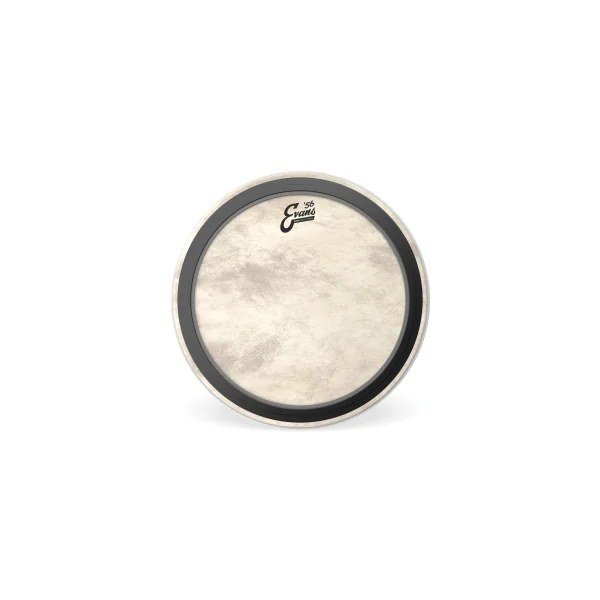 EVANS Calftone 24" Bass EMAD
