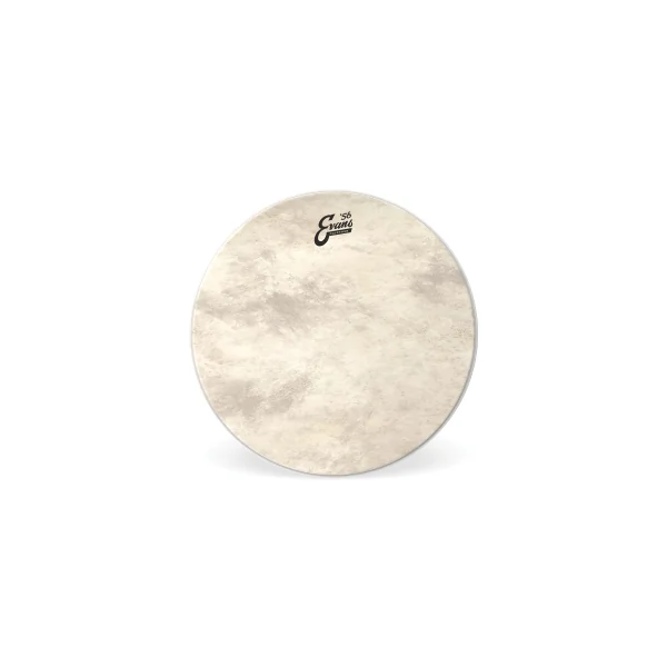 EVANS Calftone 24" Bass
