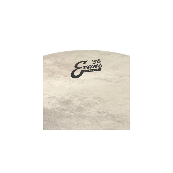 EVANS Calftone 24" Bass