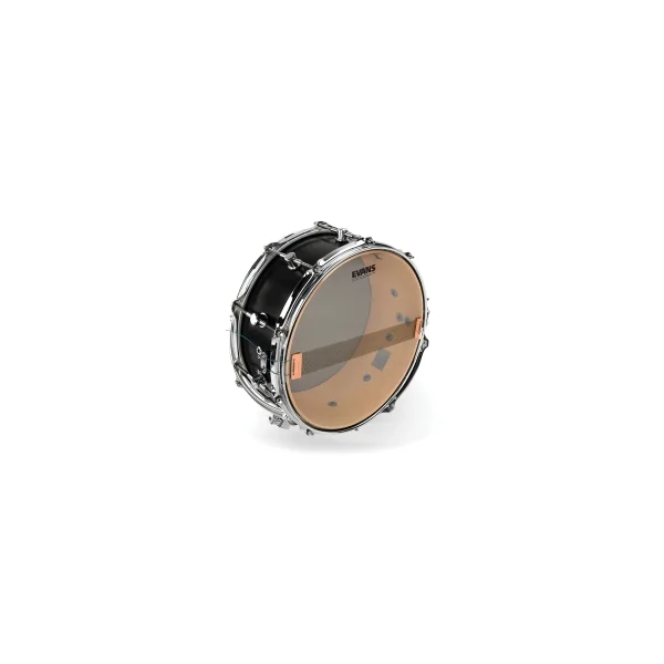 EVANS Hazy 300 12"