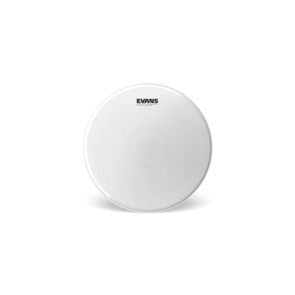 EVANS Heavyweight Dry 14"