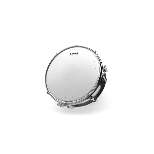 EVANS Heavyweight Dry 14"