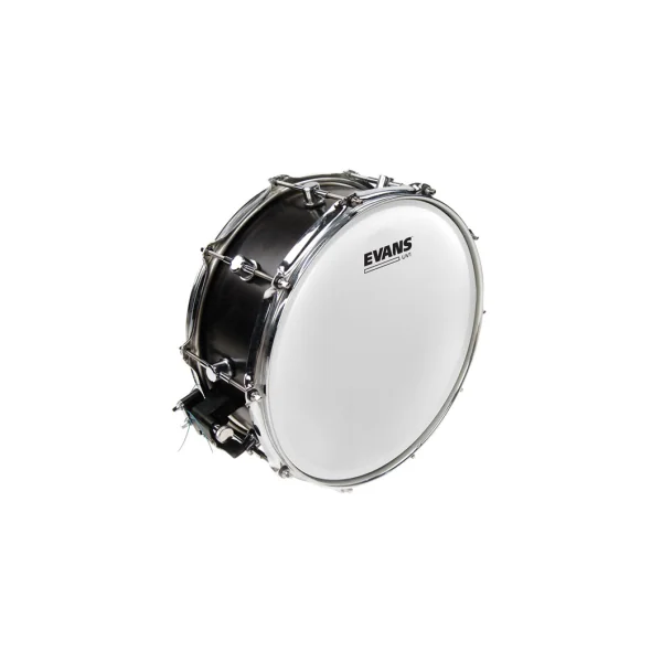 EVANS UV1 14" Coated