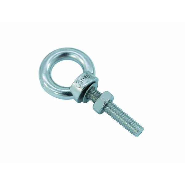 Eye Bolt M10/50mm (Steel)