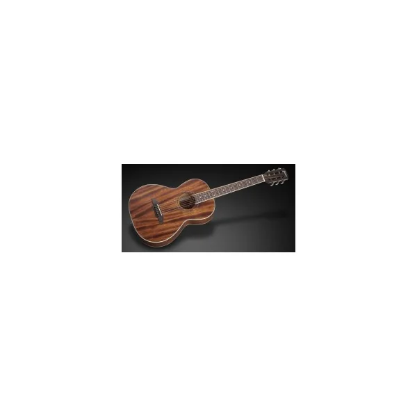 Framus Legacy Series FP 14 M Parlor - Natural Transparent Satin