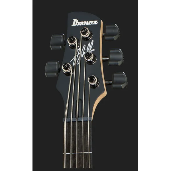 Gary Willis GWB35 BKF - black flat