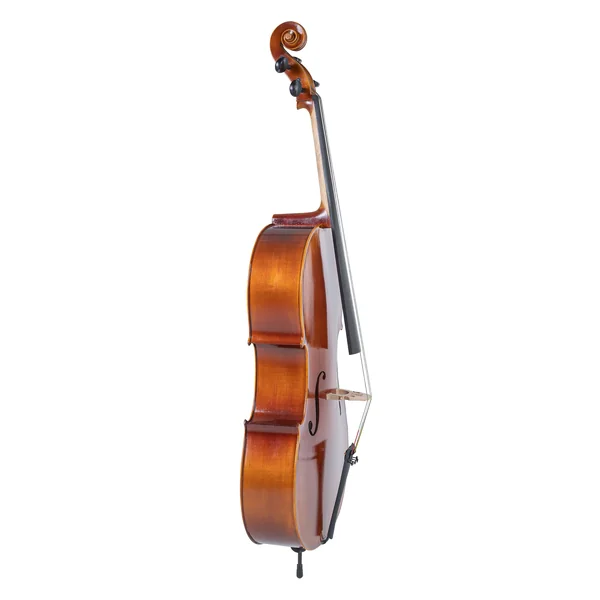 GEWA Cello Allegro - 4/4 (Ready to play incl. bag, Massaranduba bow, Larsen Aurora strings)