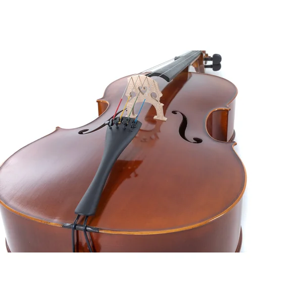 GEWA Cello Allegro - 4/4 (Ready to play incl. bag, Massaranduba bow, Larsen Aurora strings)
