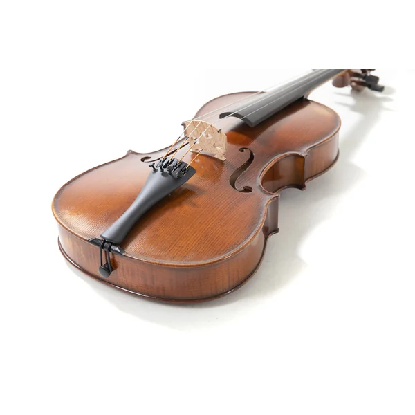 GEWA Concert viola Germania - Model Prag antique 39,5 cm (Set up)