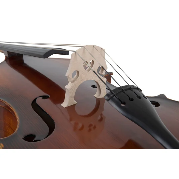 GEWA Double bass Basic Line Solid Version - 4/4 (Set up in the GEWA master workshops)